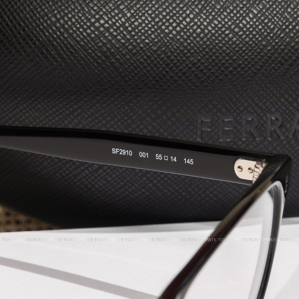 Kính Ferragamo SF2910 001 Optical Frames